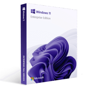 Windows 10 Professional OEM Digital License